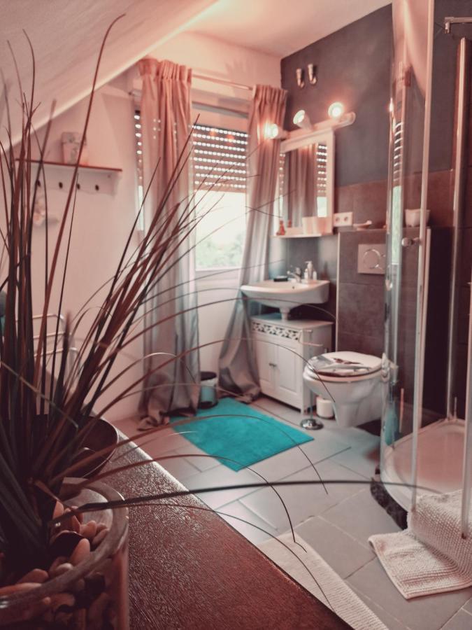 ハレRosindell Brunnenhausアパートメント エクステリア 写真